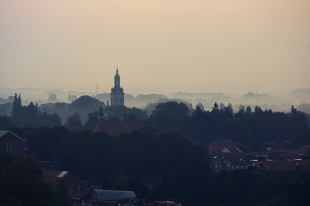 mist (© rufi kurstjens)